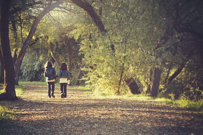 Die Gemeinde und der Wald